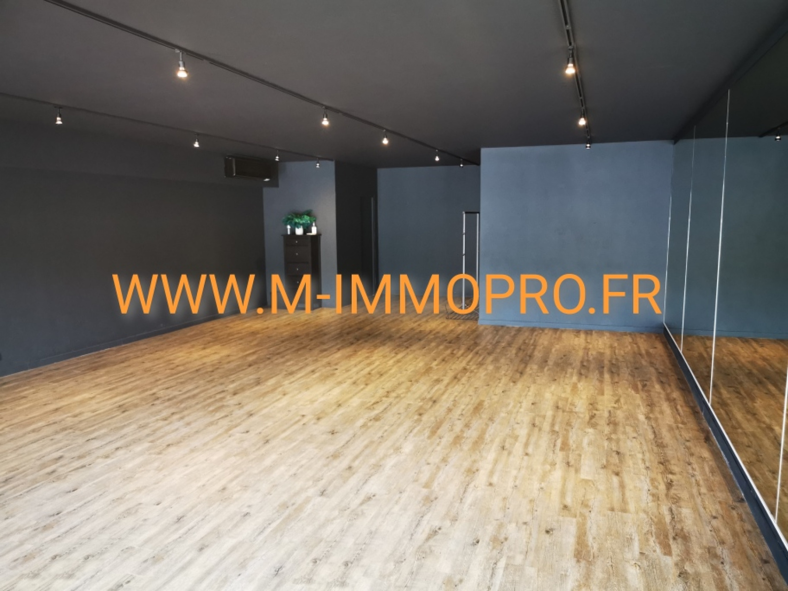 Image_1, Local commercial, Mouans-Sartoux, ref :229