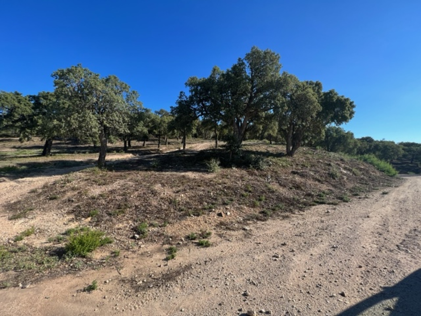 Image_3, Terrains, Sainte-Maxime, ref :504