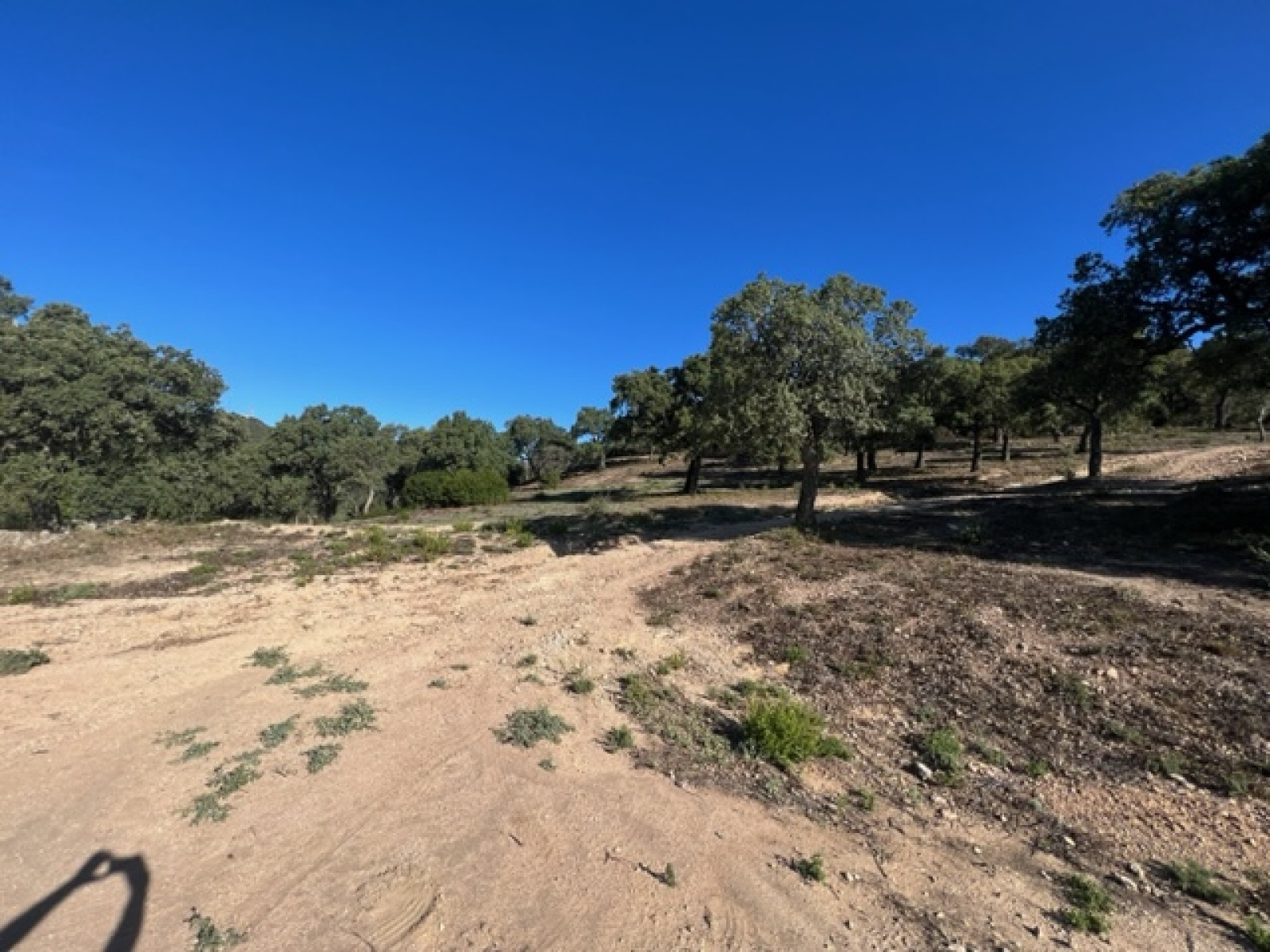 Image_7, Terrains, Sainte-Maxime, ref :504