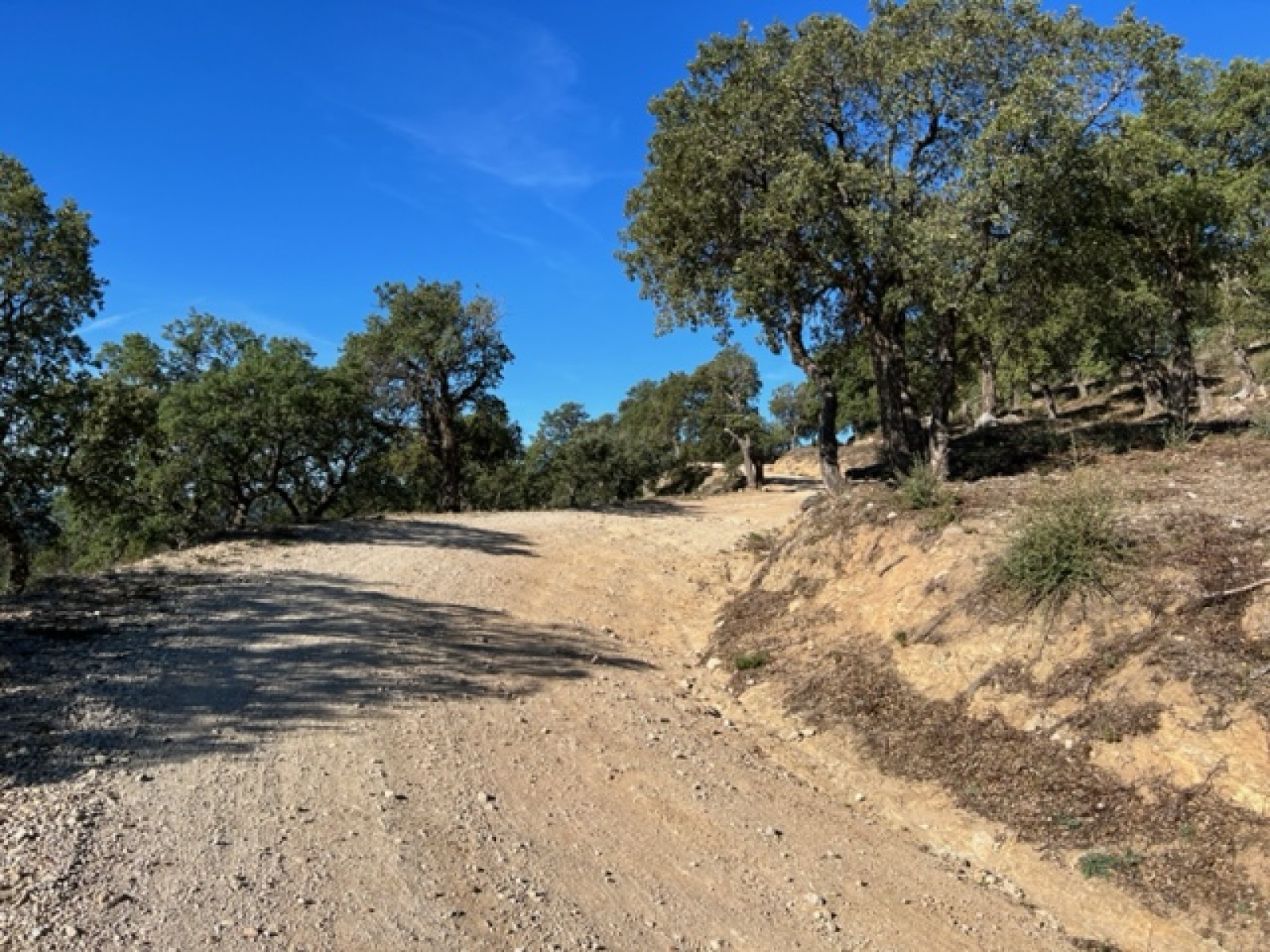 Image_6, Terrains, Sainte-Maxime, ref :504