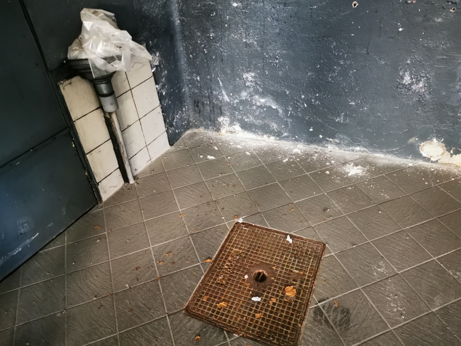 Image_7, Local commercial, Saint-Laurent-du-Var, ref :254