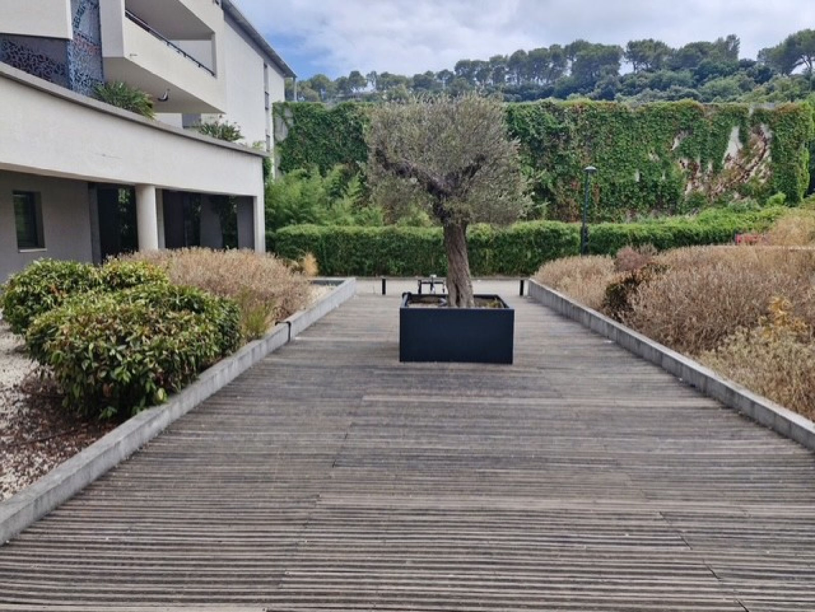 Image_2, Bureaux, Cagnes-sur-Mer, ref :1099