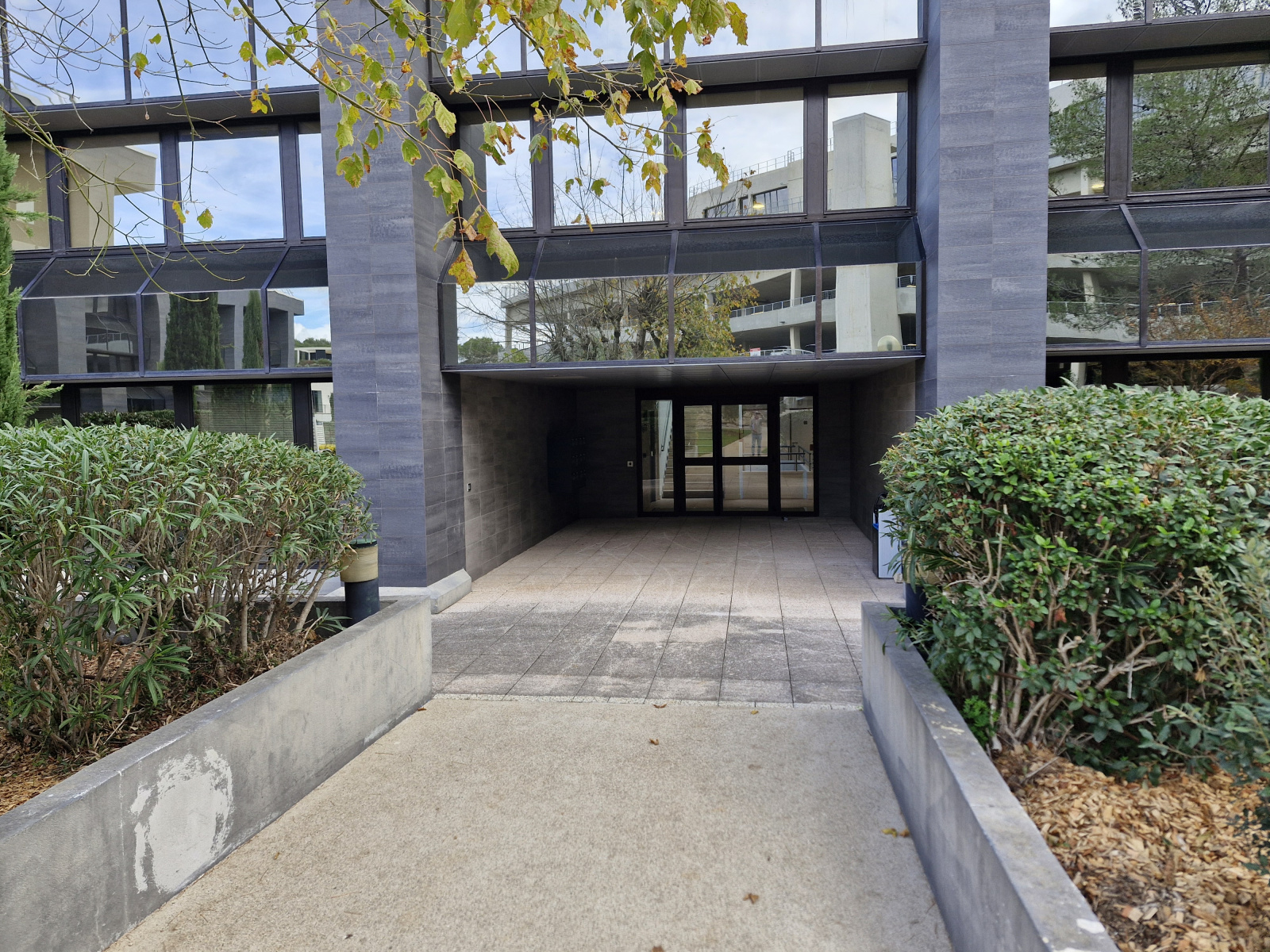 Image_1, Bureaux, Sophia antipolis, ref :984
