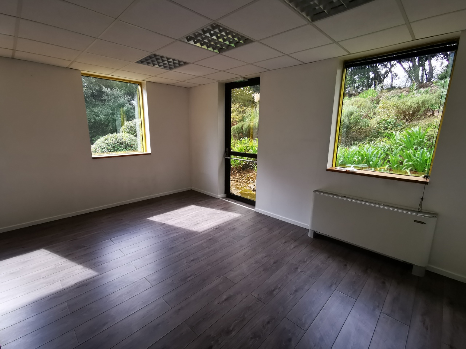 Image_5, Bureaux, Antibes, ref :783