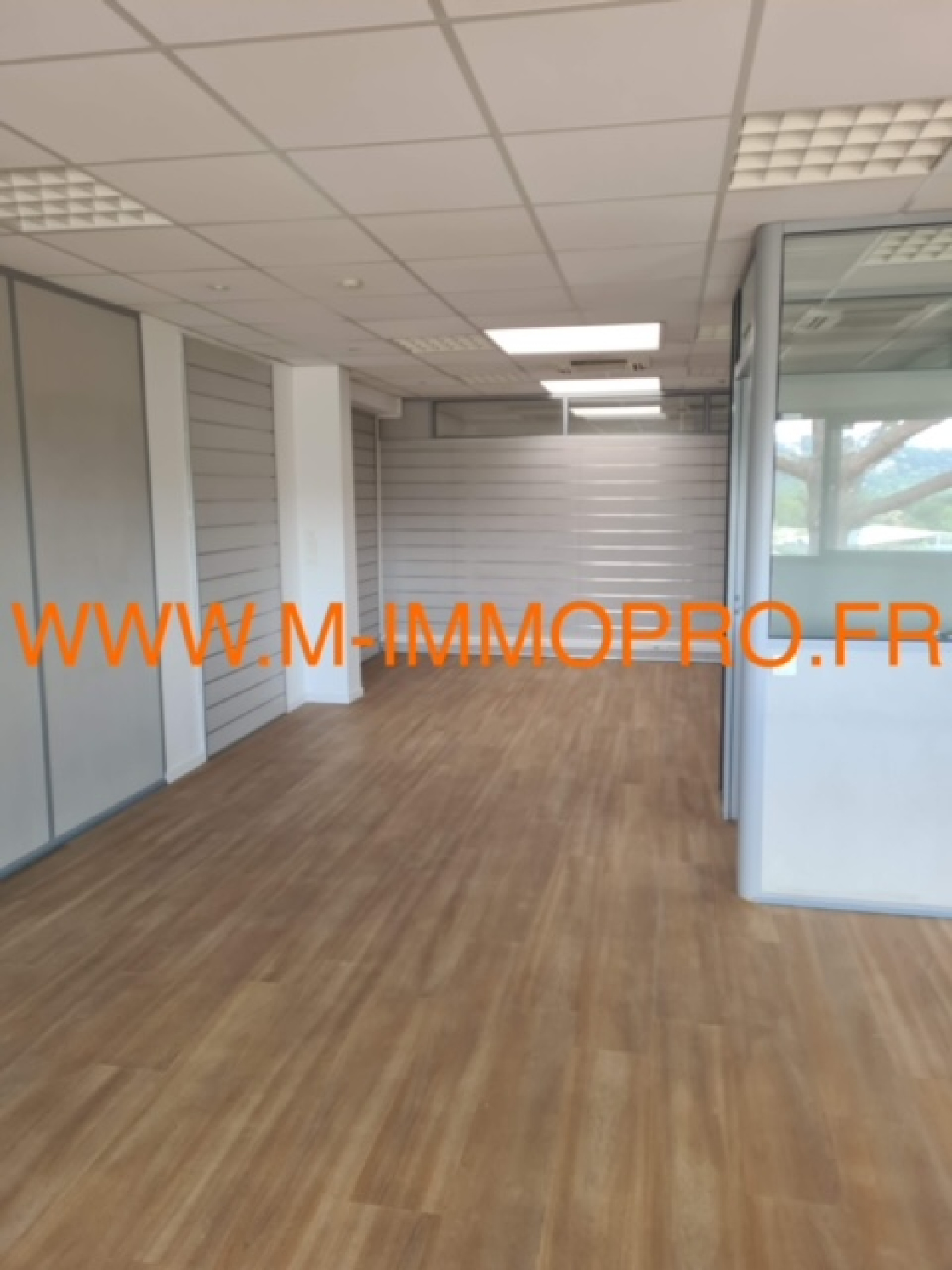 Image_1, Bureaux, Le Cannet, ref :448