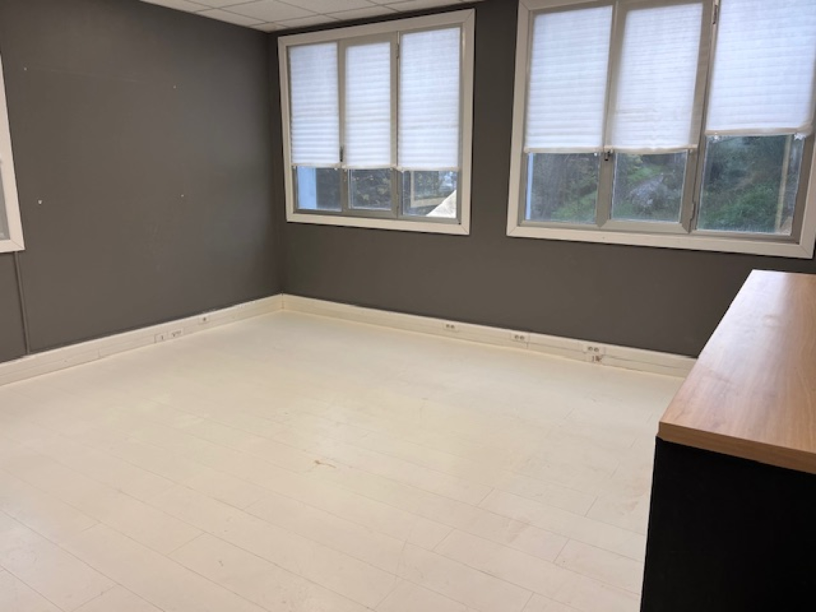 Image_6, Bureaux, Vallauris, ref :808