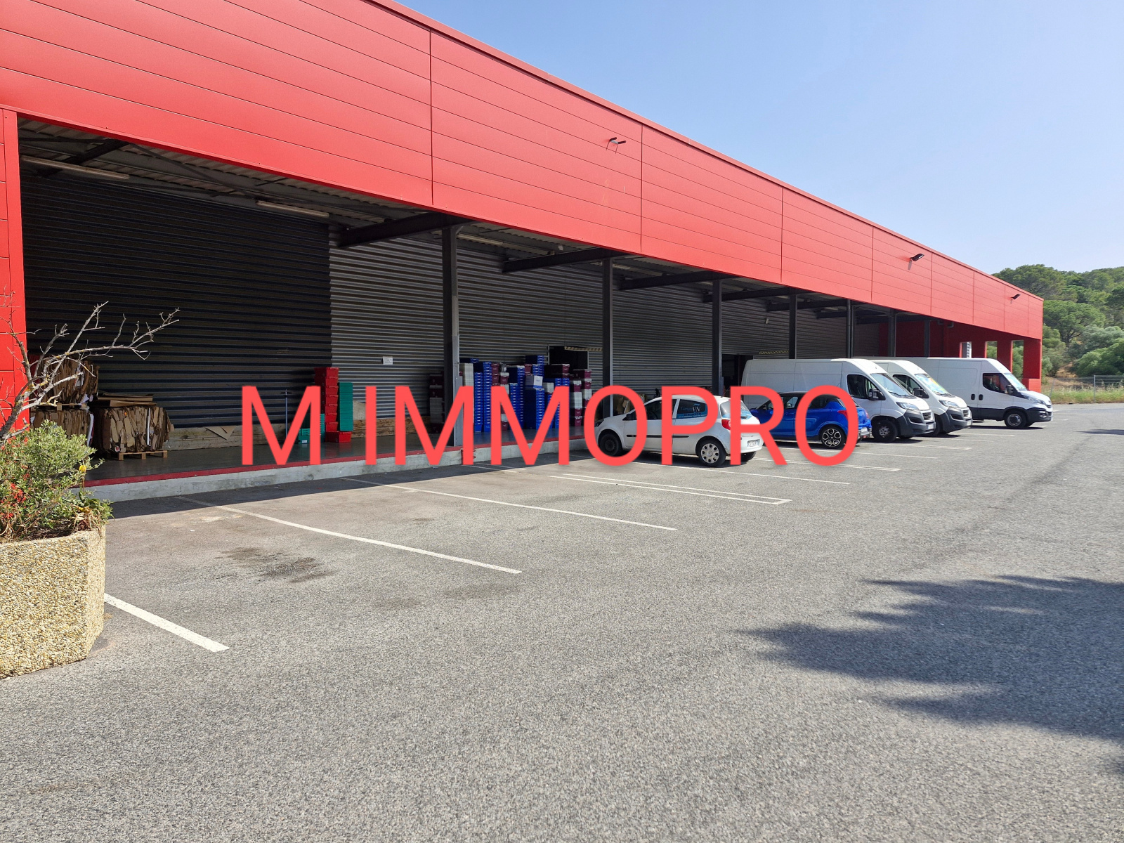 Image_1, Entrepot, Fréjus, ref :912