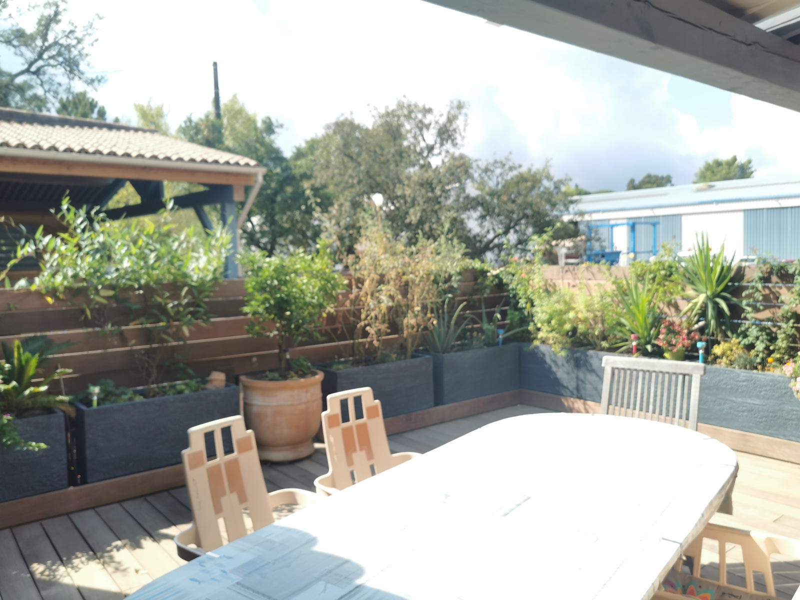 Image_13, Local d'activite, Cogolin, ref :1058