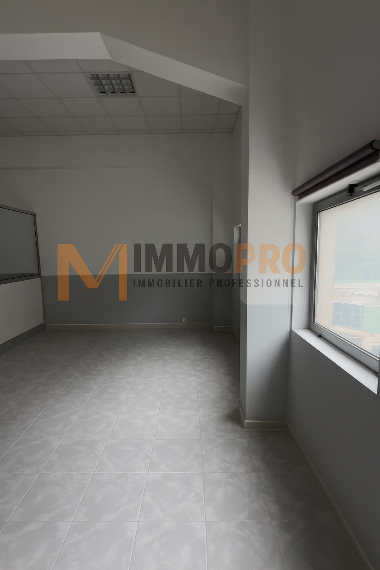 Image_1, Local d'activite, Saint-André-de-la-Roche, ref :924