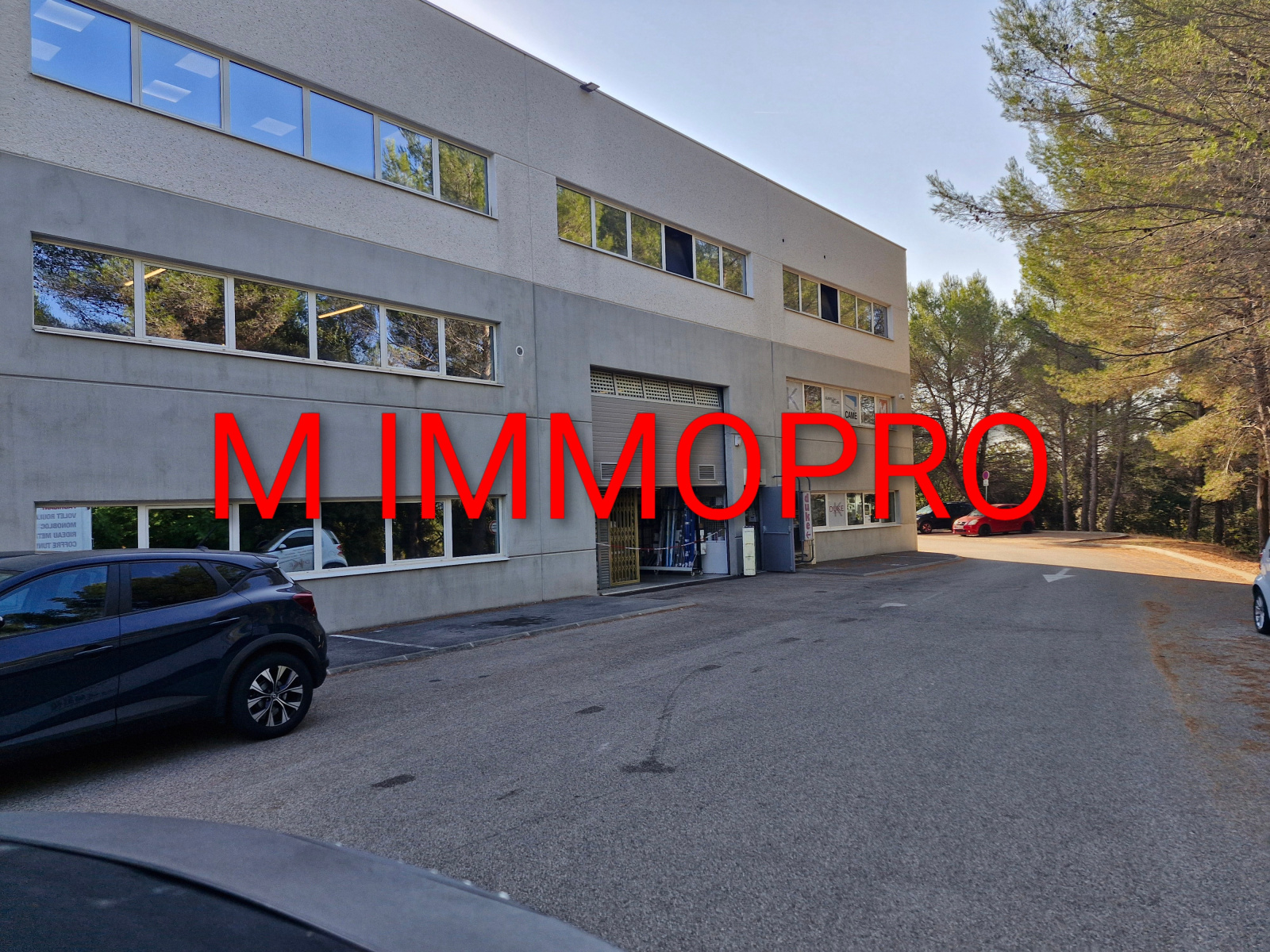 Image_1, Local d'activite, Mouans-Sartoux, ref :968