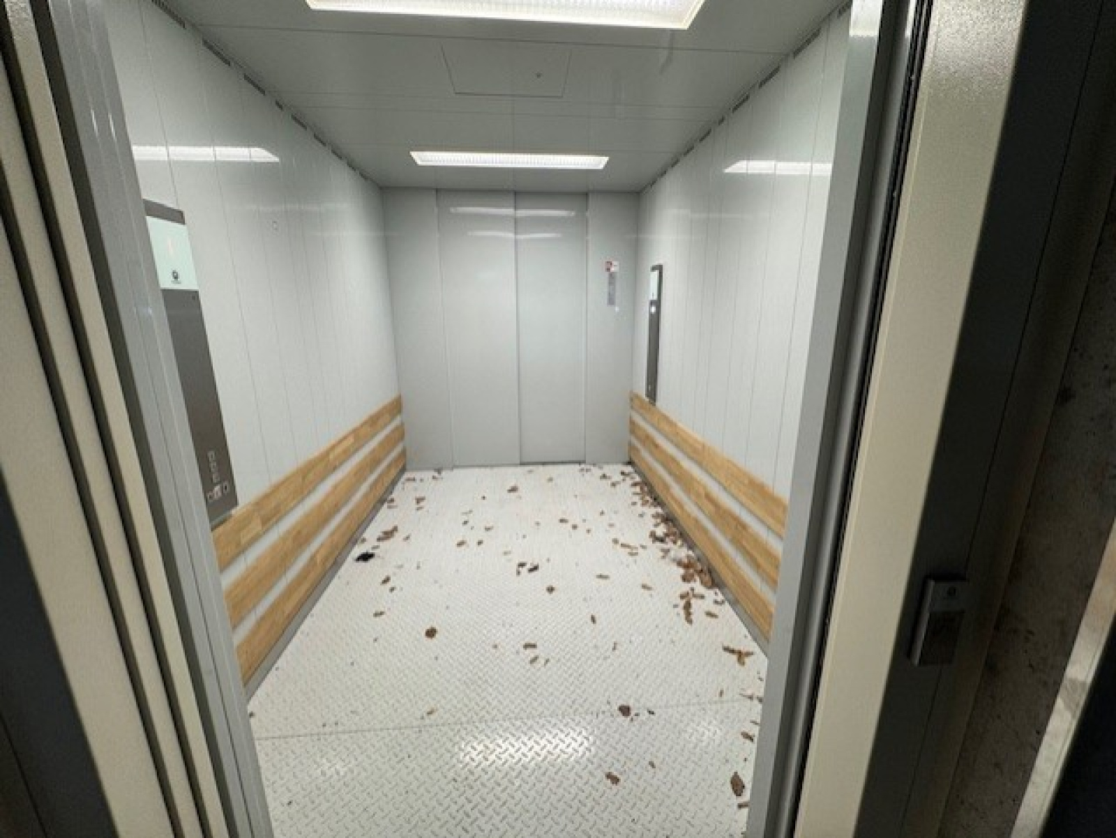 Image_7, Entrepot, Valbonne, ref :1028