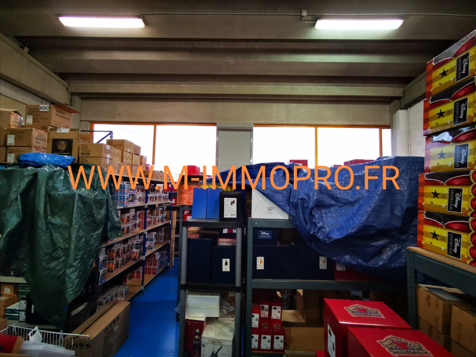 Image_1, Local d'activite, Antibes, ref :259