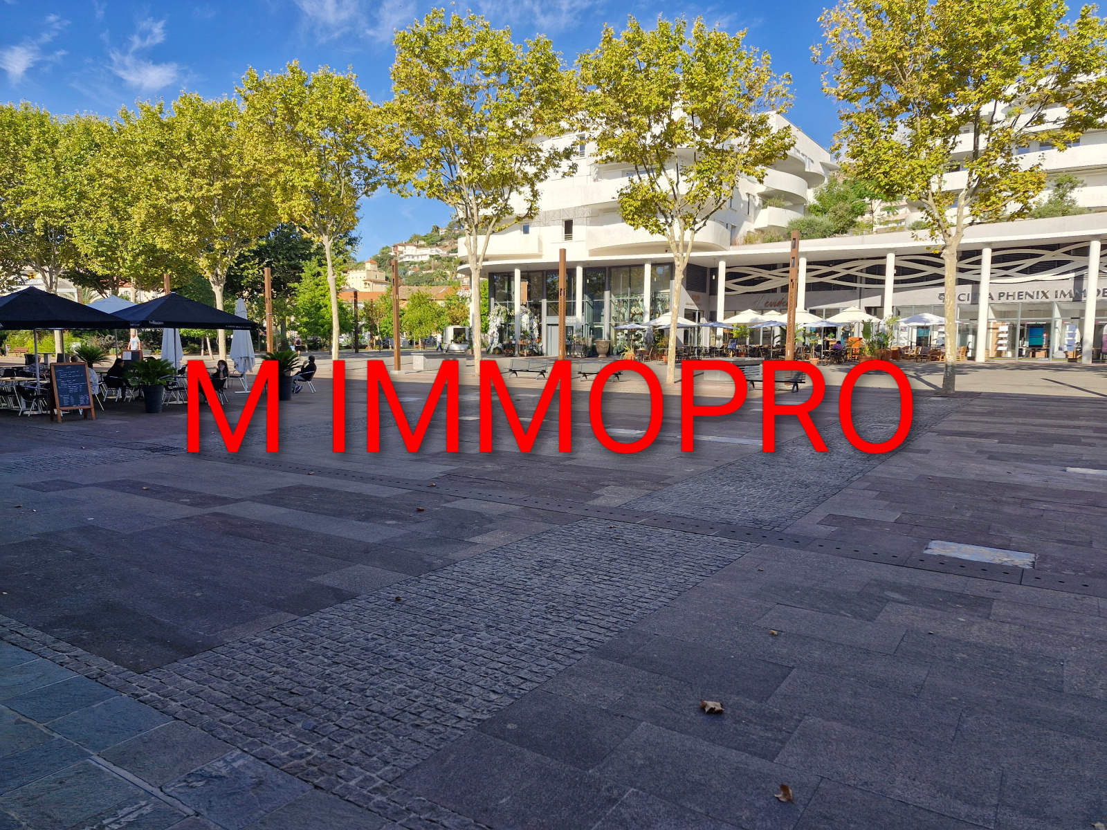 Image_1, Local commercial, Mandelieu-la-Napoule, ref :985