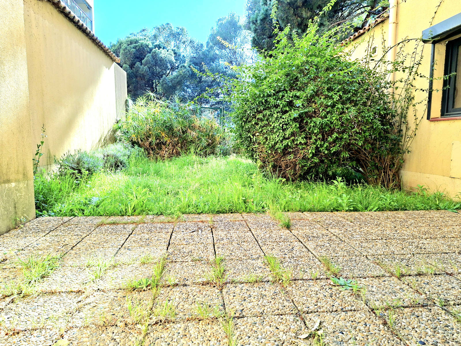 Image_3, Bureaux, Fréjus, ref :1056