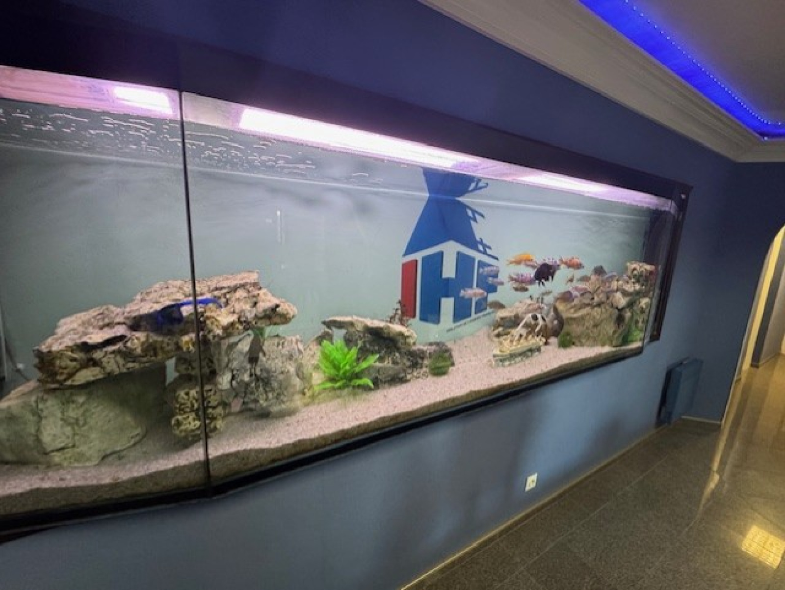 Image_7, Bureaux, Mouans-Sartoux, ref :1022