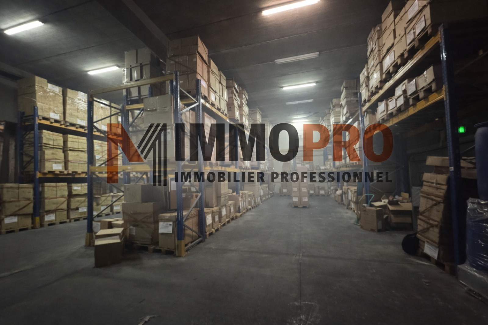 Image_1, Entrepot, Peymeinade, ref :1030