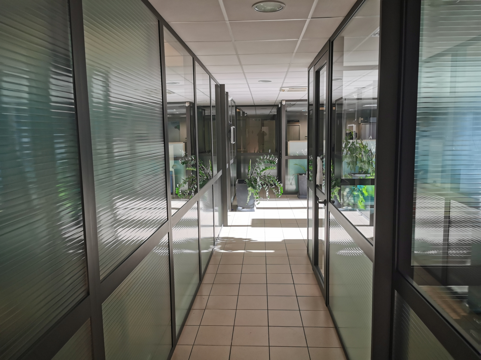 Image_2, Local d'activite, Mouans-Sartoux, ref :712