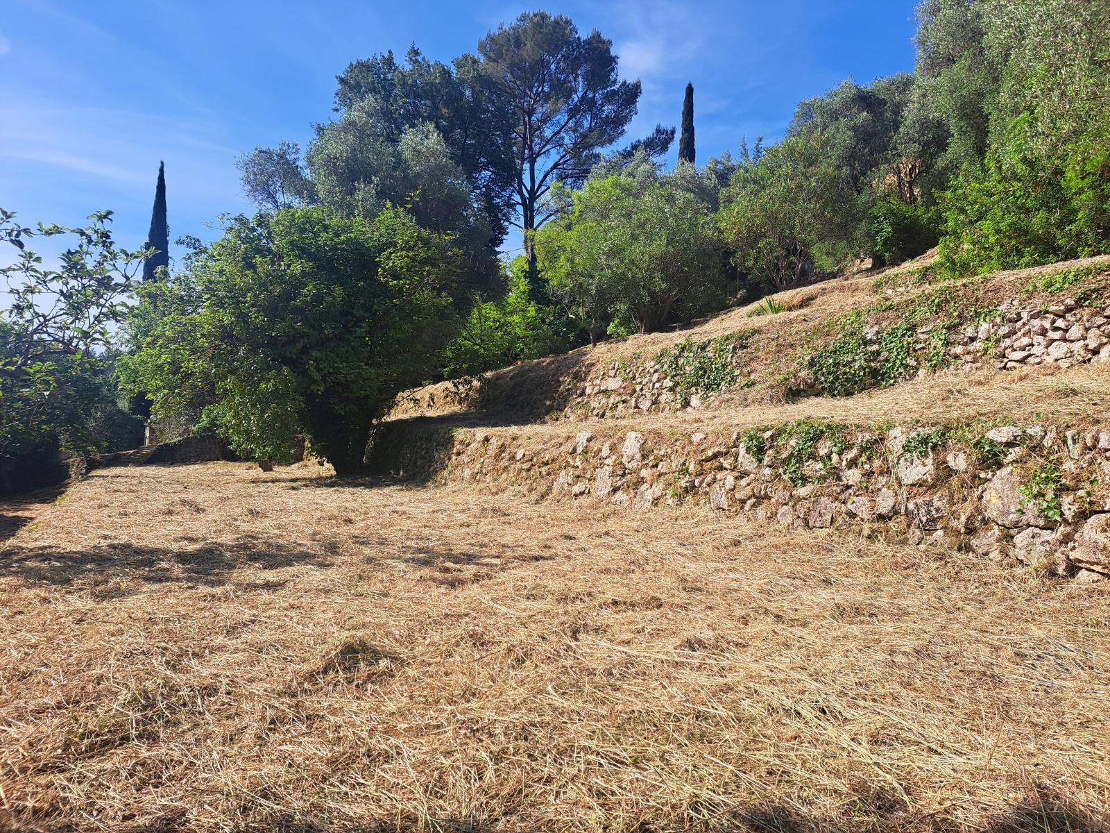 Image_2, Terrains, Grasse, ref :891