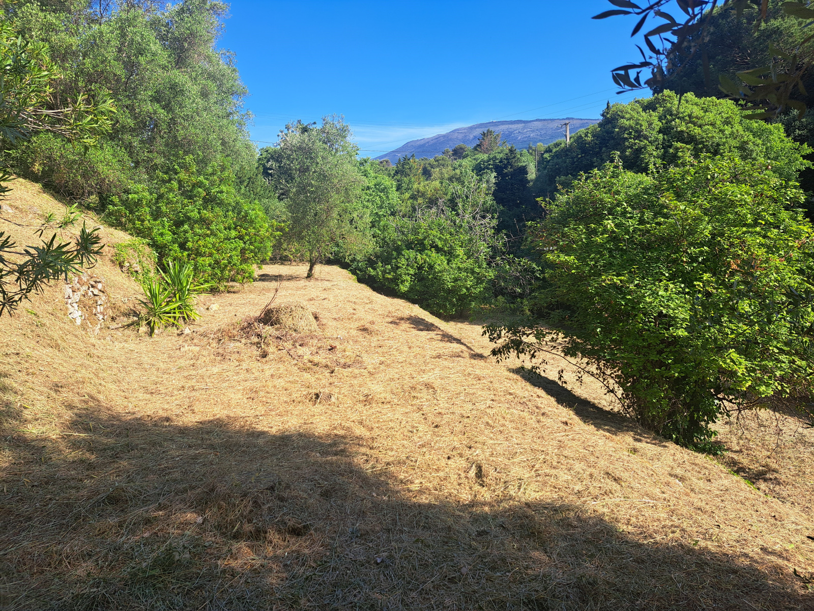 Image_3, Terrains, Grasse, ref :891