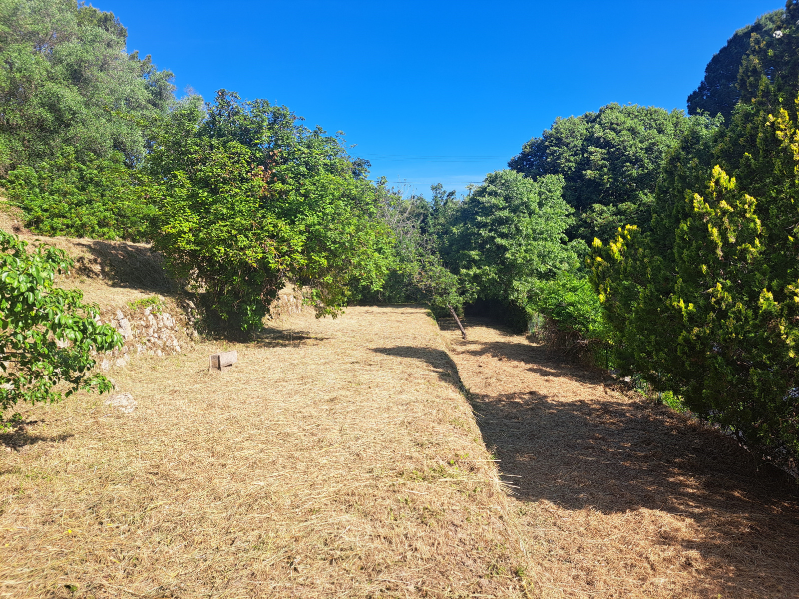 Image_1, Terrains, Grasse, ref :891
