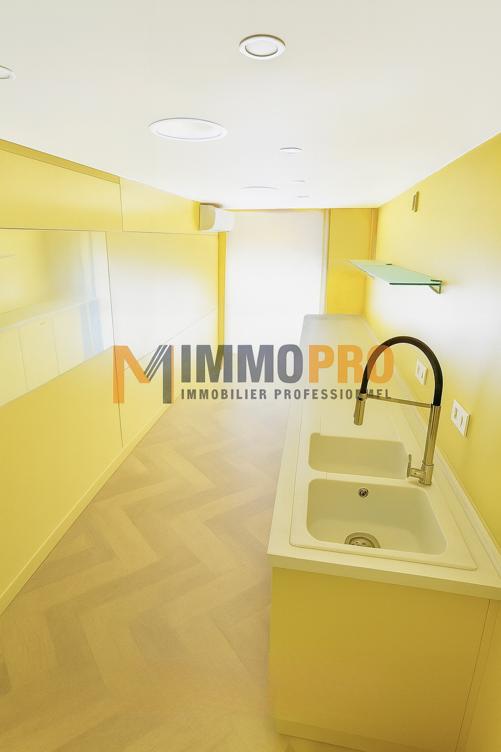 Image_1, Local commercial, Nice, ref :903