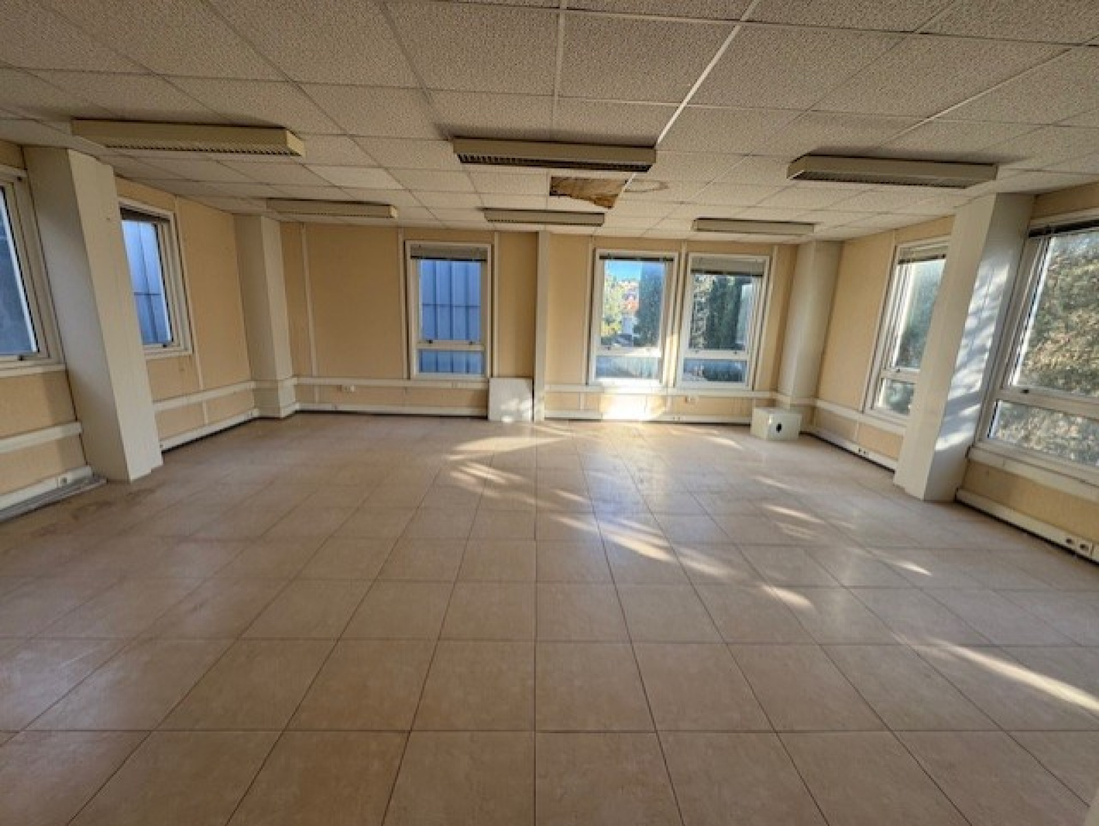 Image_4, Local d'activite, Le Cannet, ref :1010