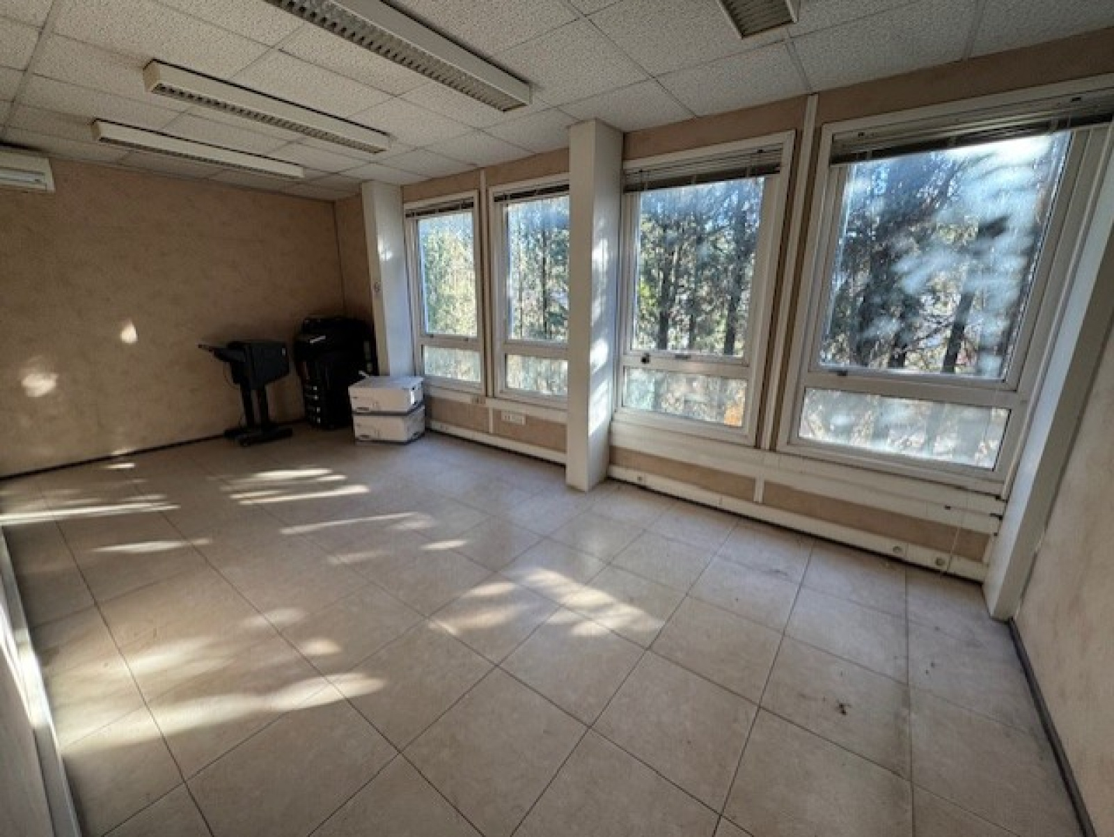 Image_6, Local d'activite, Le Cannet, ref :1010